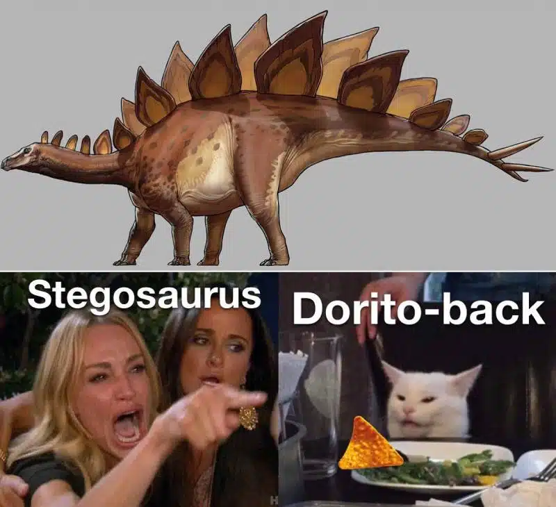 Illustration of a Stegosaurus dinosaur above the woman yelling at a cat meme captioned Dorito-back