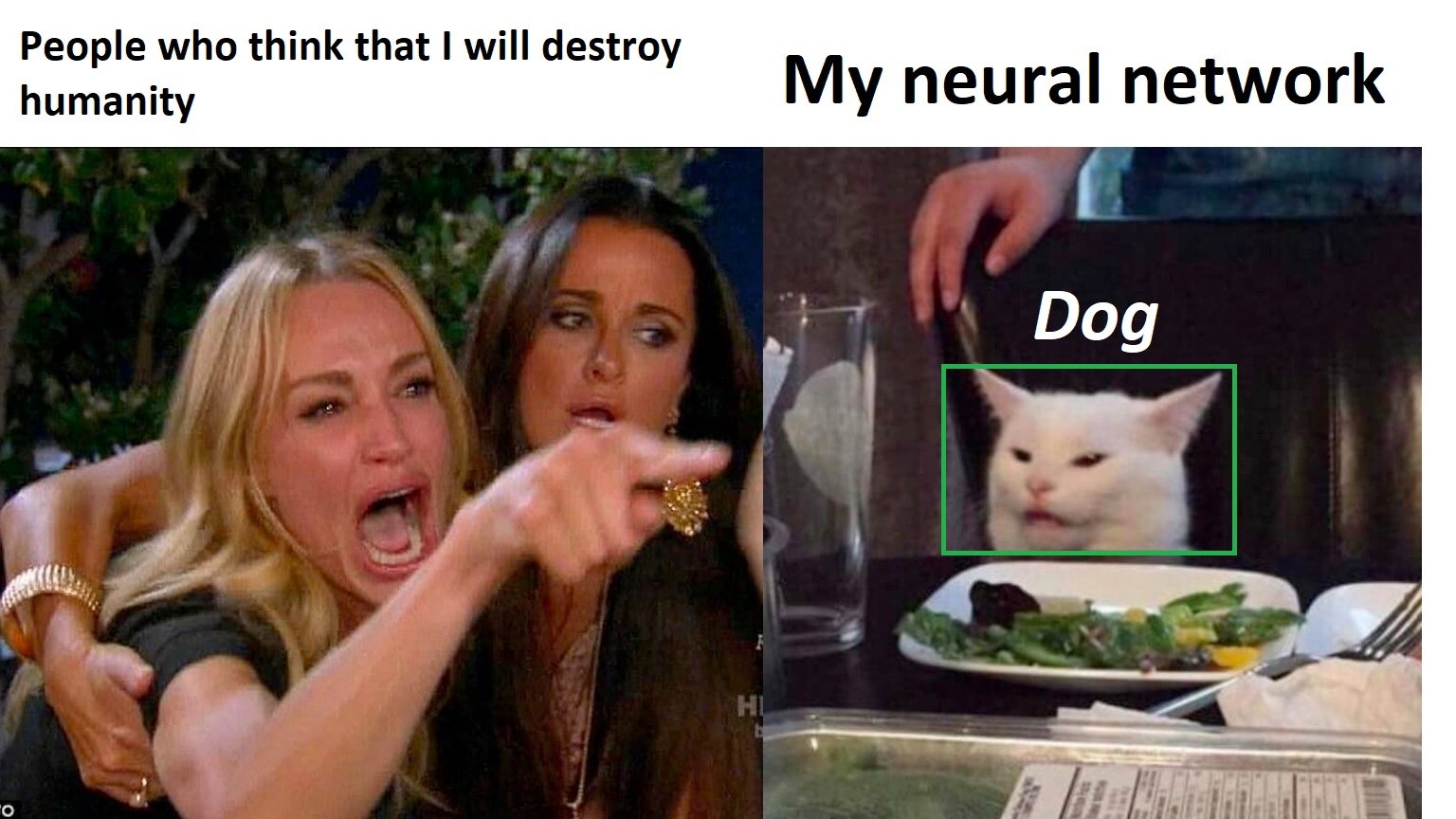 Woman yelling at a cat meme with a green bounding box labeling the cat as a dog, joking about AI destroying humanity