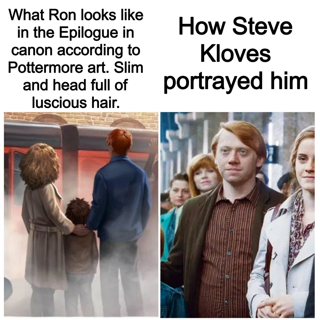 Book Ron vs Movie Ron epilogue meme