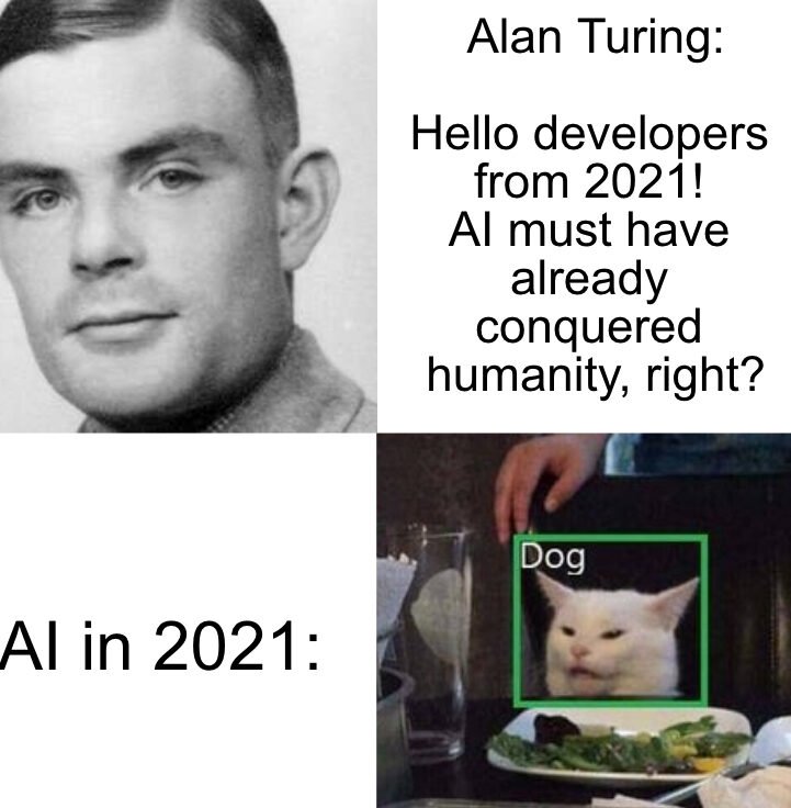 Alan Turing meme joking about AI mislabeling a white cat as a dog in 2021