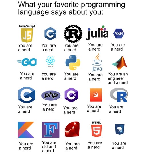 Funny programming languages meme showing JavaScript C++ Rust Julia Python Java C PHP C Sharp Kotlin Ruby HTML and other languages