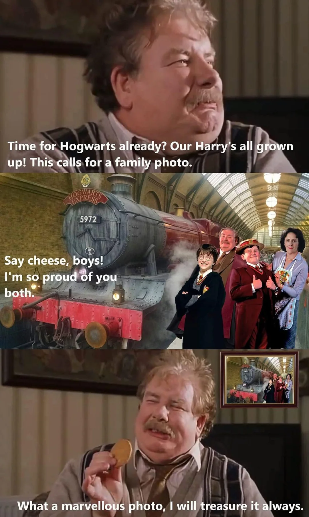 Wholesome Uncle Vernon photo meme