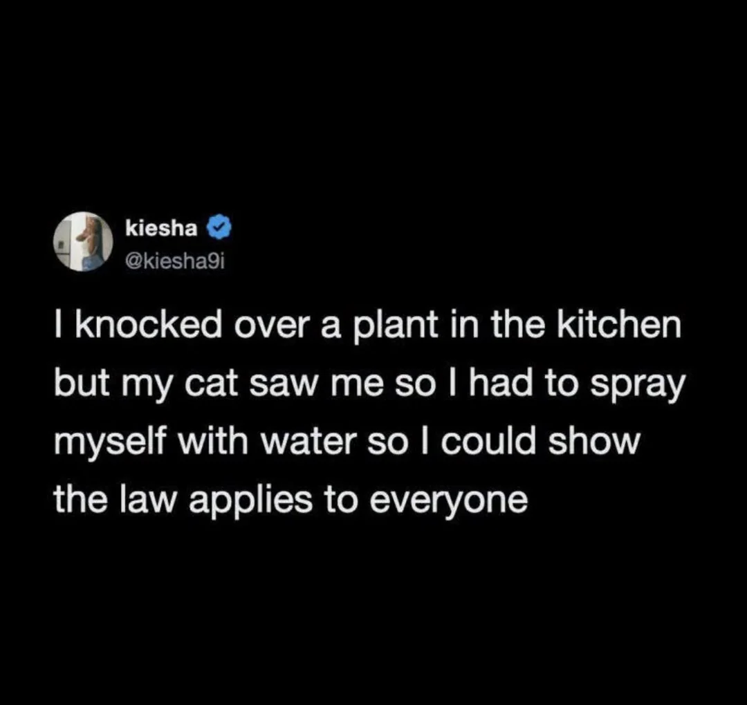 Funny tweet meme about spraying yourself with water after knocking over a plant to show the cat law applies to everyone