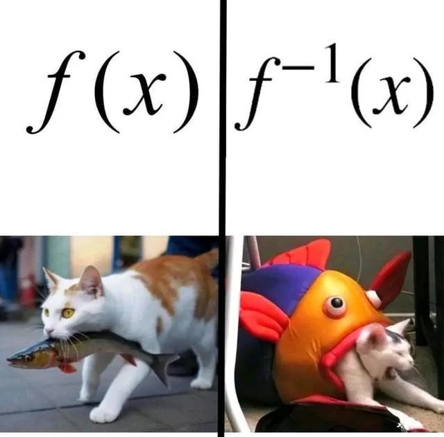 Cat and fish inverse function visual