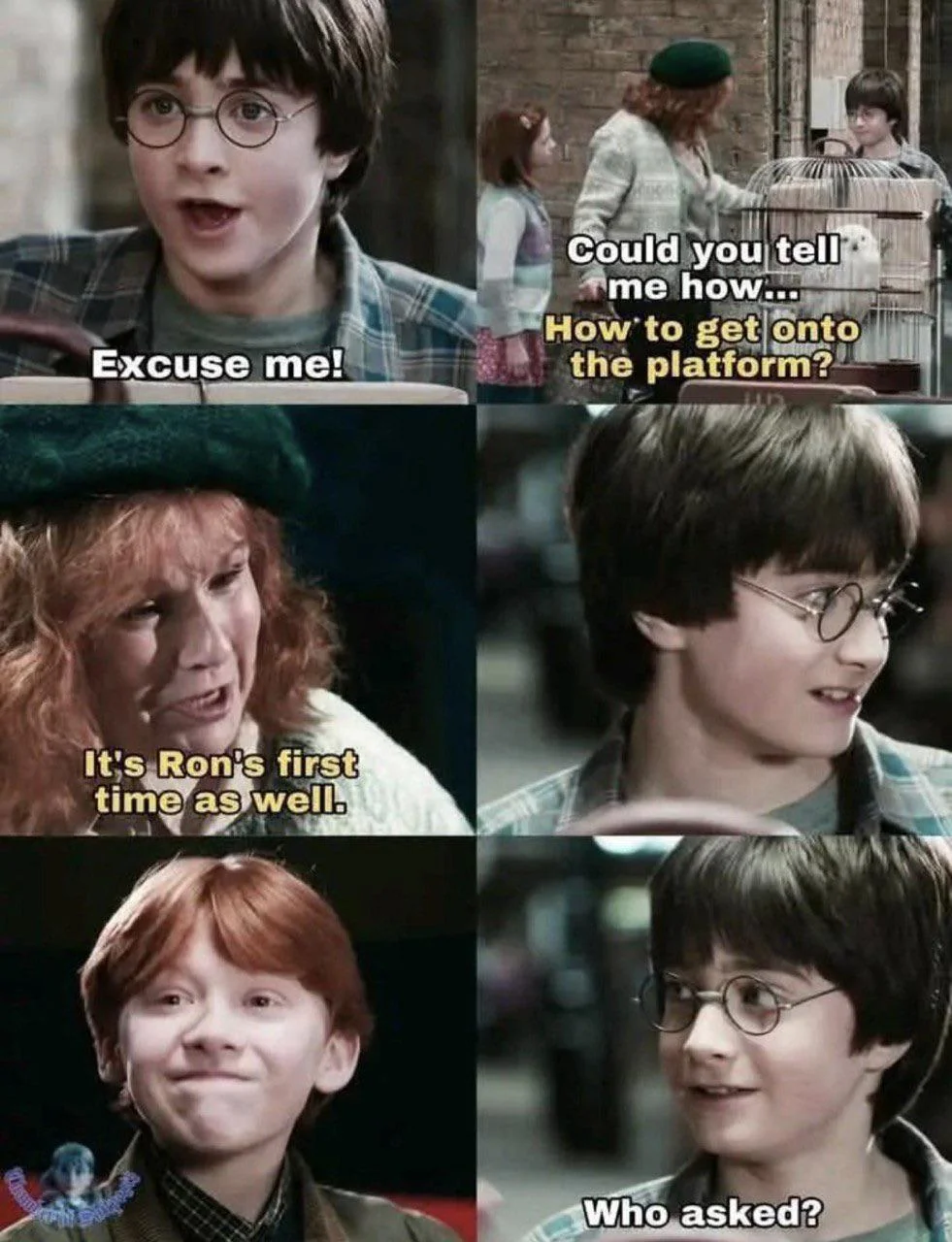 Sassy Slytherin Harry Potter meme