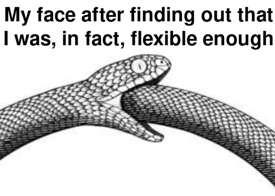 Ouroboros snake biting tail flexible meme