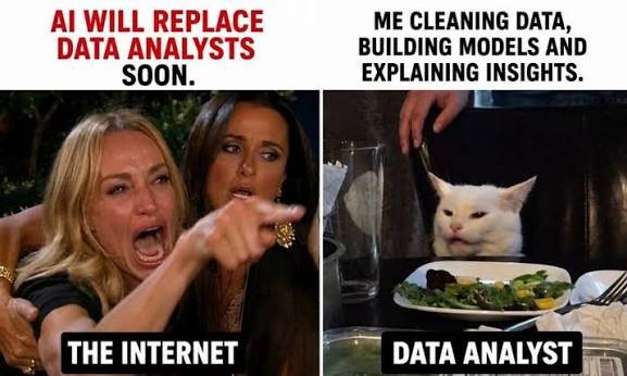 Woman yelling at a cat meme about AI replacing data analysts while the analyst keeps working unfazed