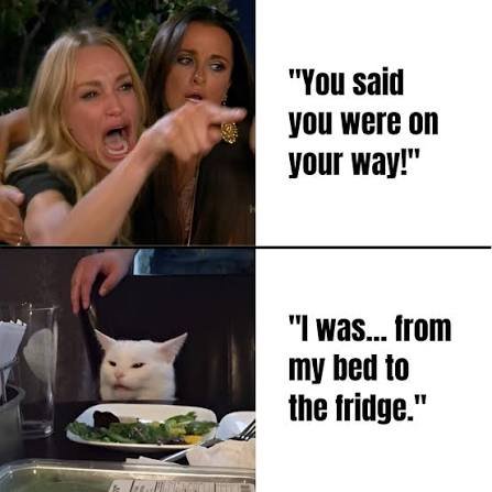 Text-only woman yelling at a cat meme layout about being on the way from bed to the fridge