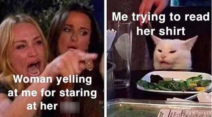 Woman yelling at a cat meme joking about being caught staring at someone's shirt