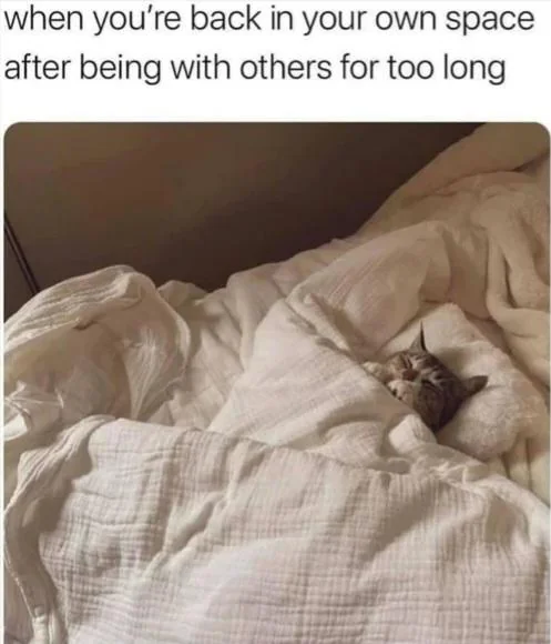 Cat tucked neatly into bed with blankets up to its chin in its comfort zone meme
