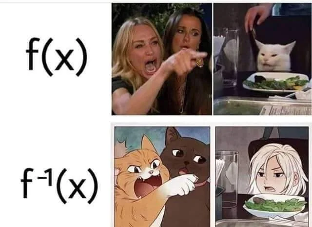 Woman yelling at a cat meme labeled f of x and f inverse of x combined with an anime redraw