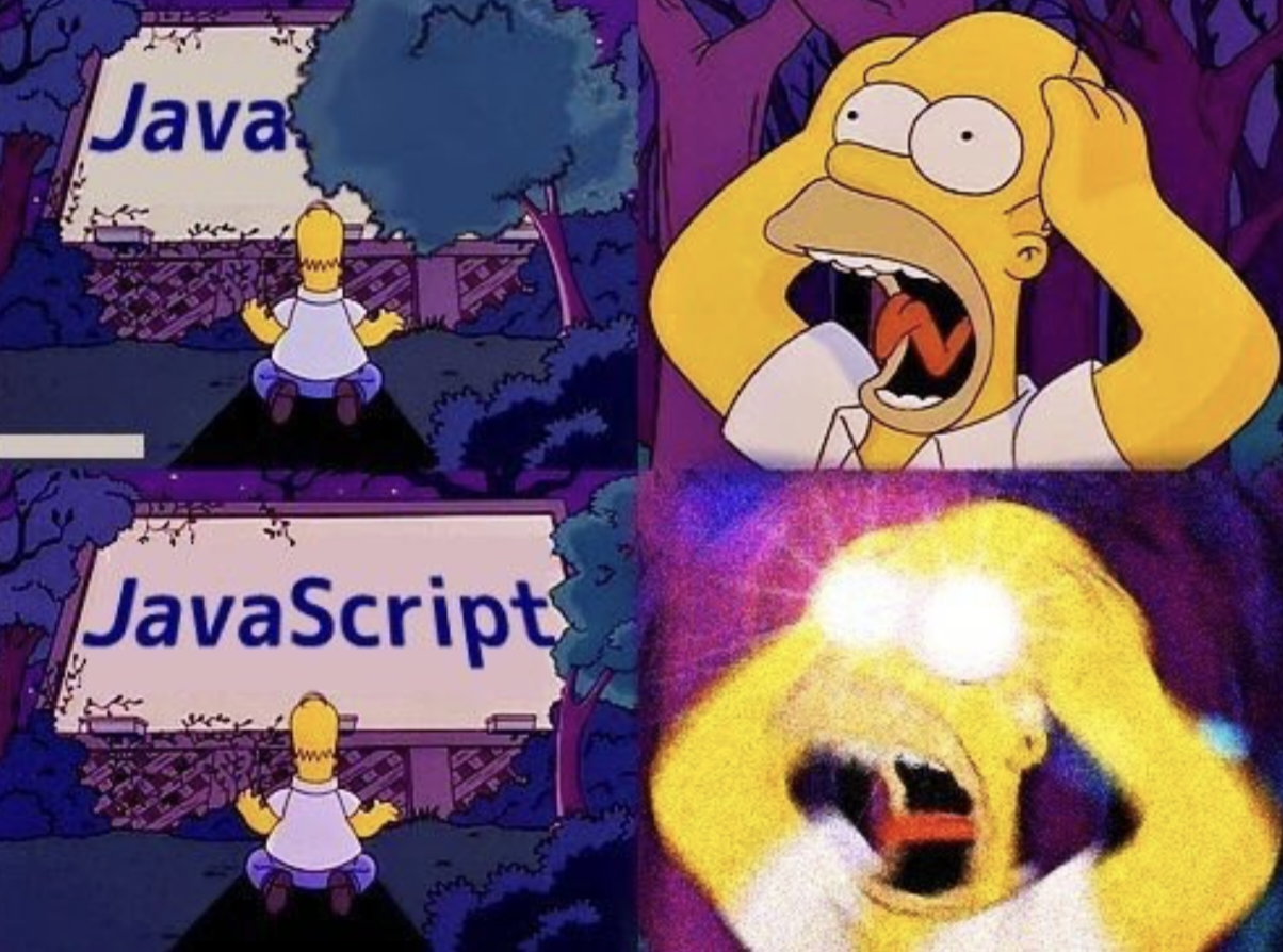 Java versus JavaScript Homer Simpson funny programming meme