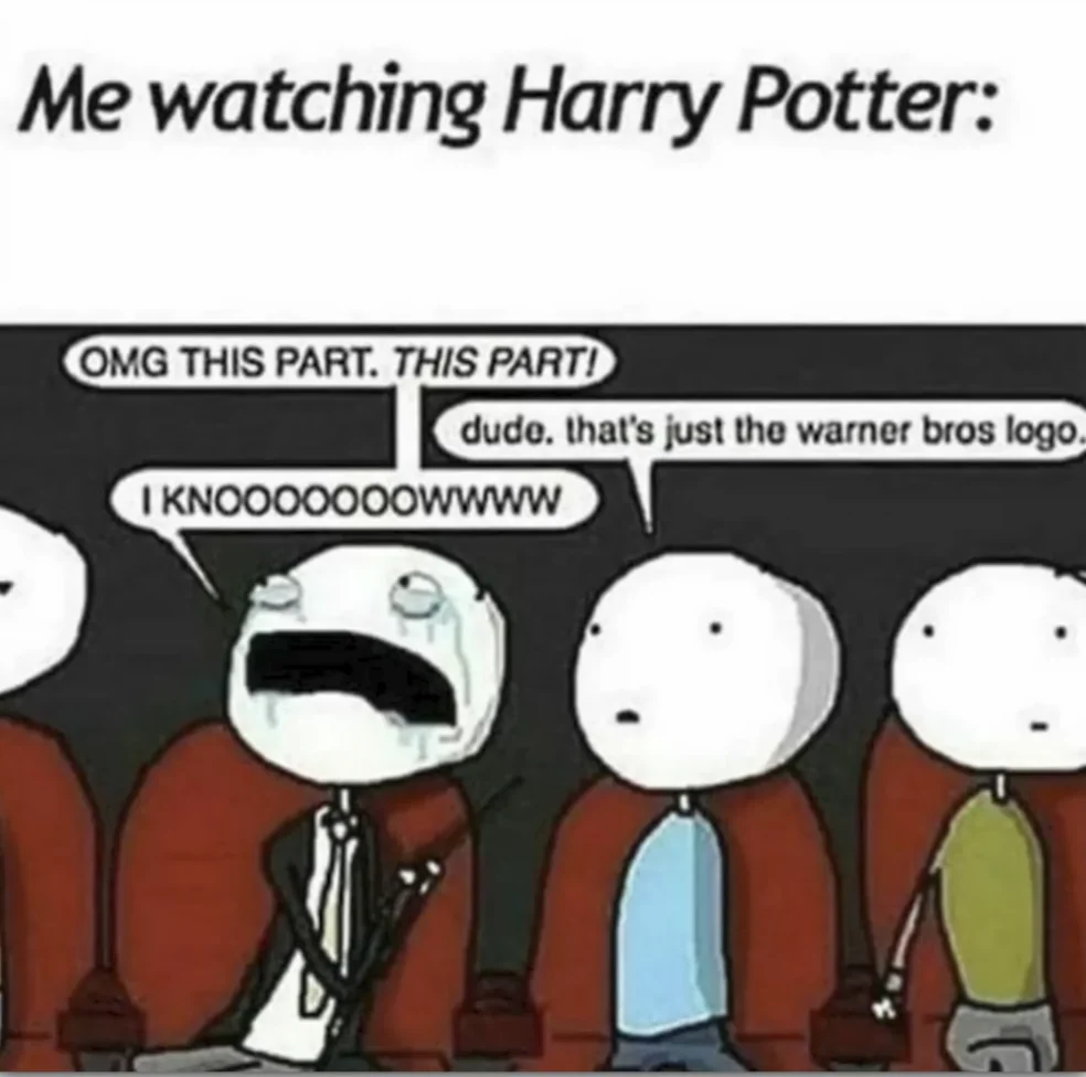 Harry Potter meme Warner Bros logo crying meme