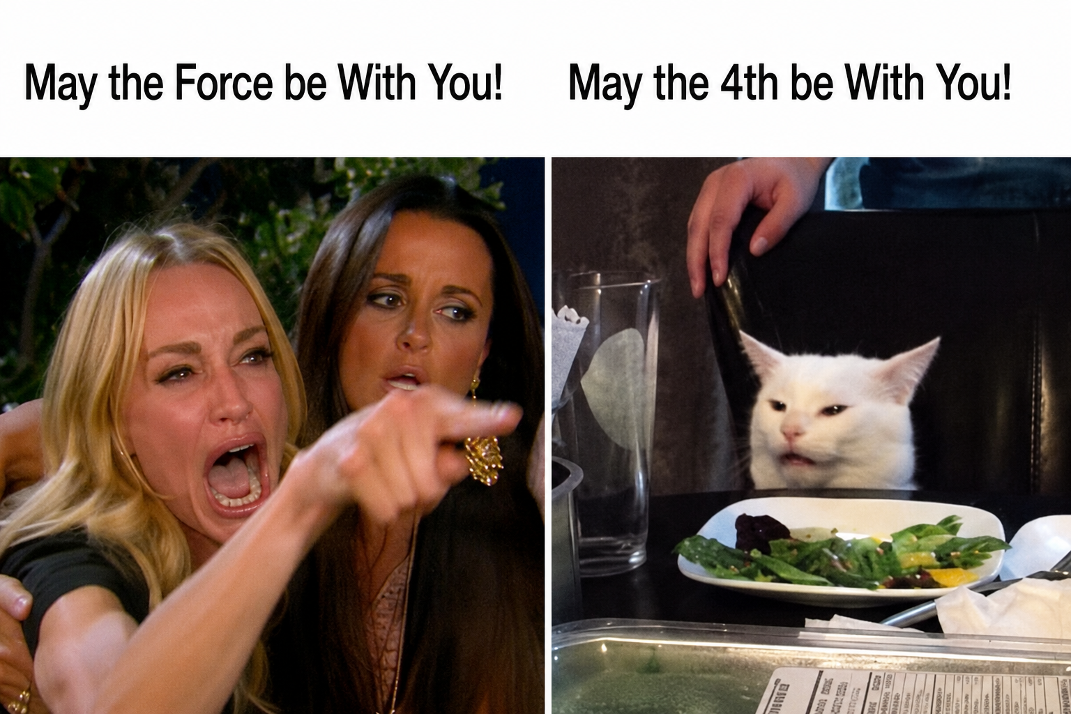 Woman yelling at a cat meme captioned May the Force be with you and May the 4th be with you