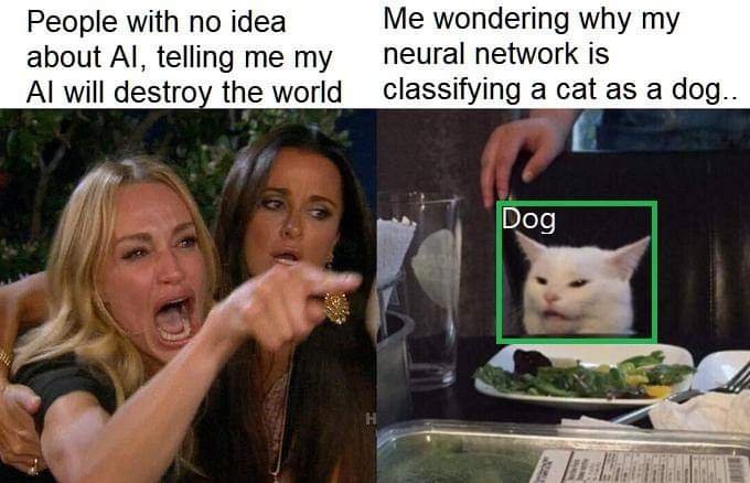 Woman yelling at a cat meme with a Dog label bounding box joking about neural networks misclassifying images