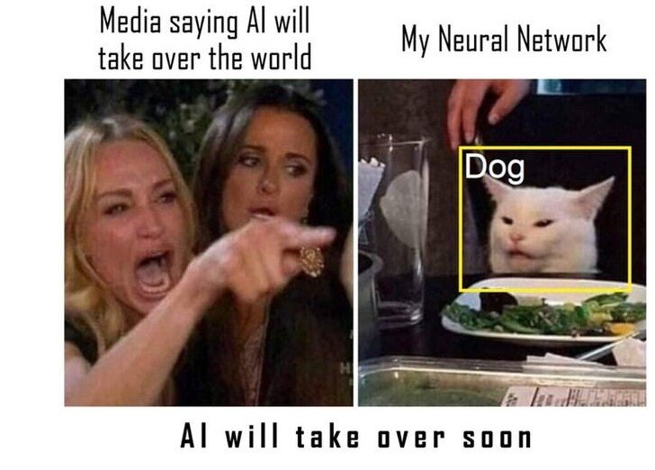 Woman yelling at a cat meme with a yellow Dog bounding box captioned media saying AI will take over the world