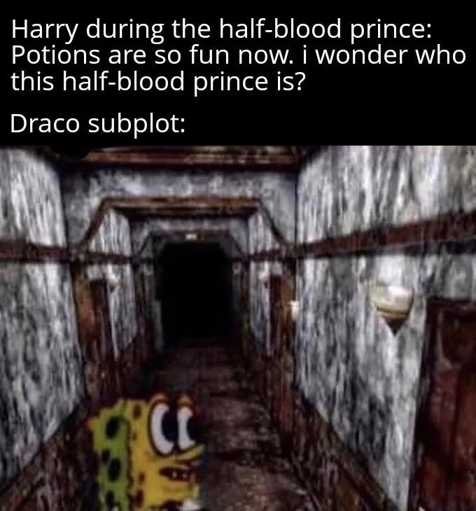 Half Blood Prince Draco and Harry meme