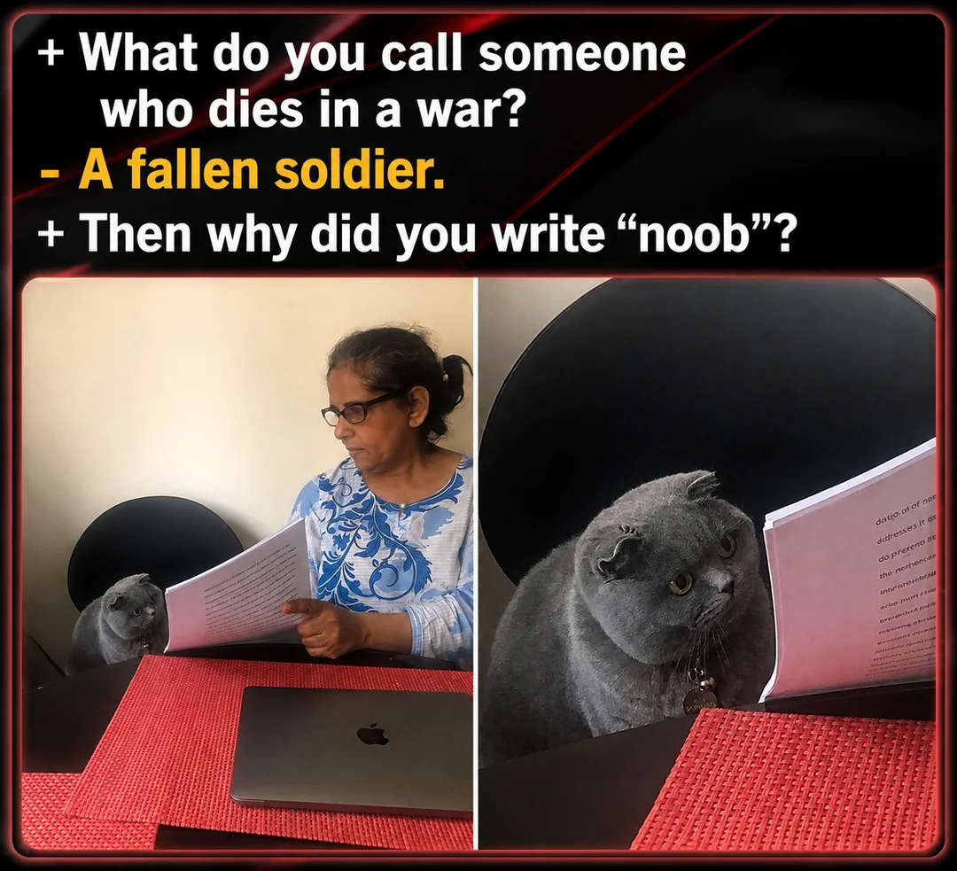 Teacher cat student fallen soldier noob meme