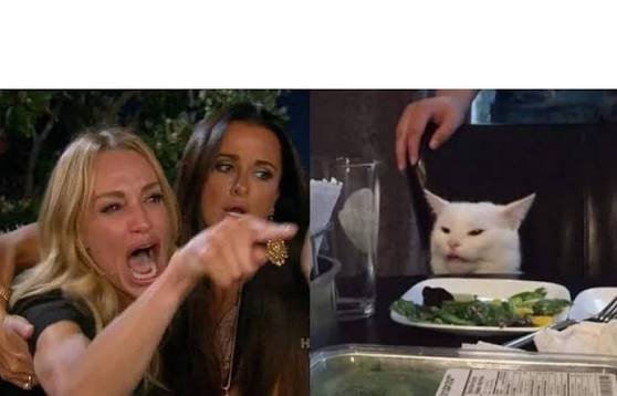 ywlling one at a cat meme templete