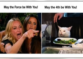 Woman Yelling at a Cat Meme: Origin & Meaning Explained and Enjoy Meme