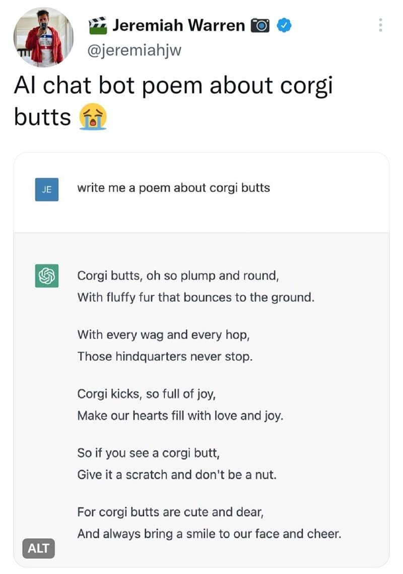 Screenshot of a funny ChatGPT poem about corgi butts that went viral