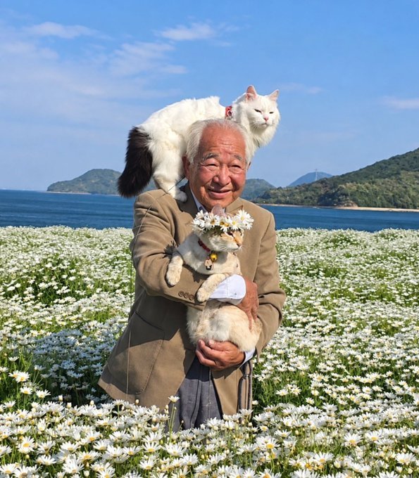 Smiling elderly man with a cat on his shoulder and a cat wearing a daisy crown in a flower field by the sea