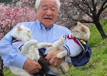 japanese-grandpa-cats-viral-flower-photos