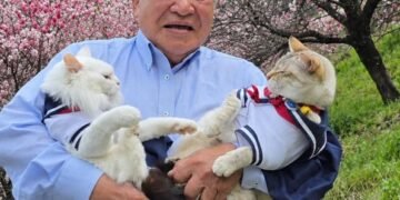 japanese-grandpa-cats-viral-flower-photos