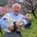 japanese-grandpa-cats-viral-flower-photos