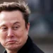 Elon Musk, SpaceX, SpaceX stock giveaway, Elon Musk news, Elon Musk net worth, SpaceX share price, US news, financial news, stock market, Elon Musk kids giveaway