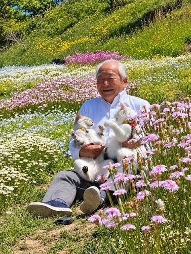 Laughing elderly man sitting in a flower meadow holding two playful cats