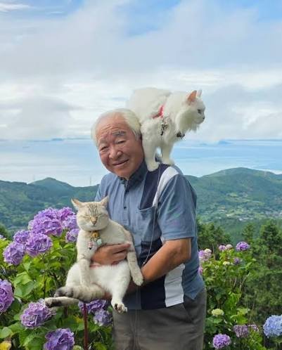 Smiling Japanese grandpa with one cat on his shoulder and one in his arms among purple hydrangeas above the sea