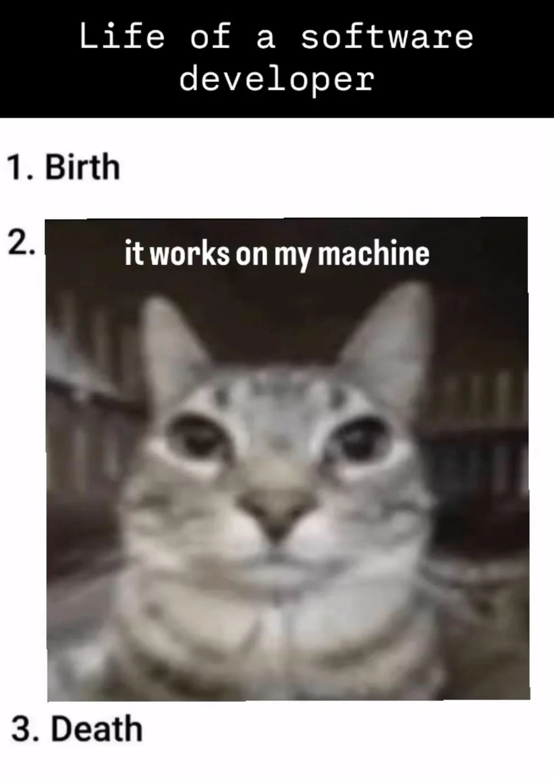 Software developer meme: life is birth, it works on my machine, death