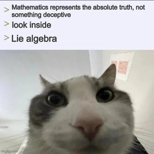 Lie algebra meme with a cat looking at the camera and a pun on the word lie