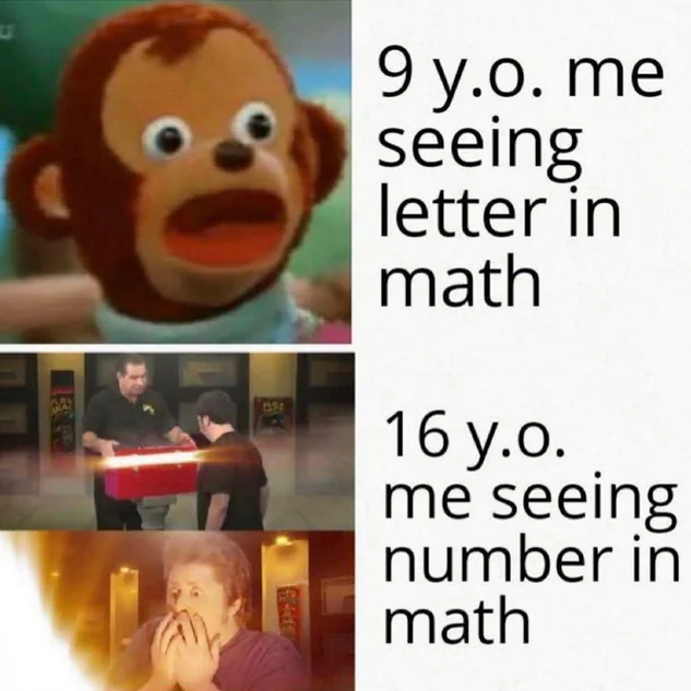 Funny algebra meme comparing a 9 year old seeing a letter in math with a 16 year old seeing a number
