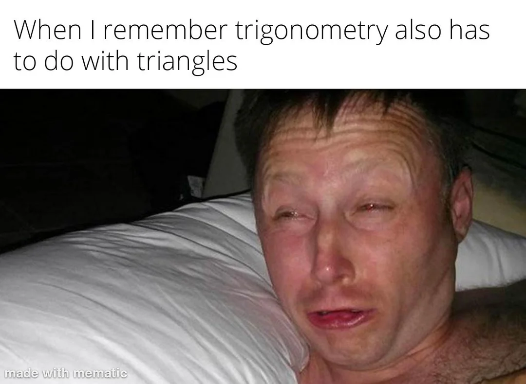 Meme about remembering trigonometry also has to do with triangles